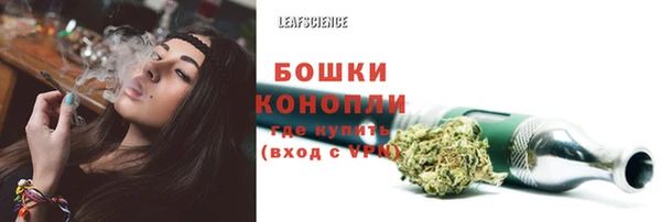 дурь Арсеньев