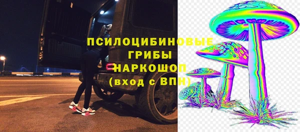 дживик Аркадак