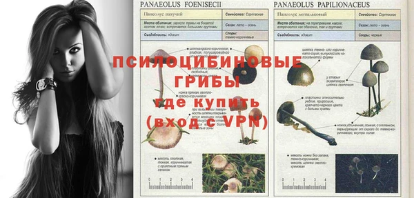 кокс Армянск