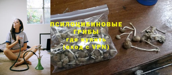 дурь Арсеньев