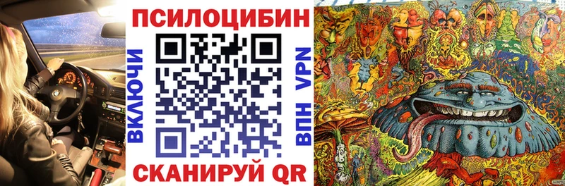 Псилоцибиновые грибы прущие грибы  Рудня 